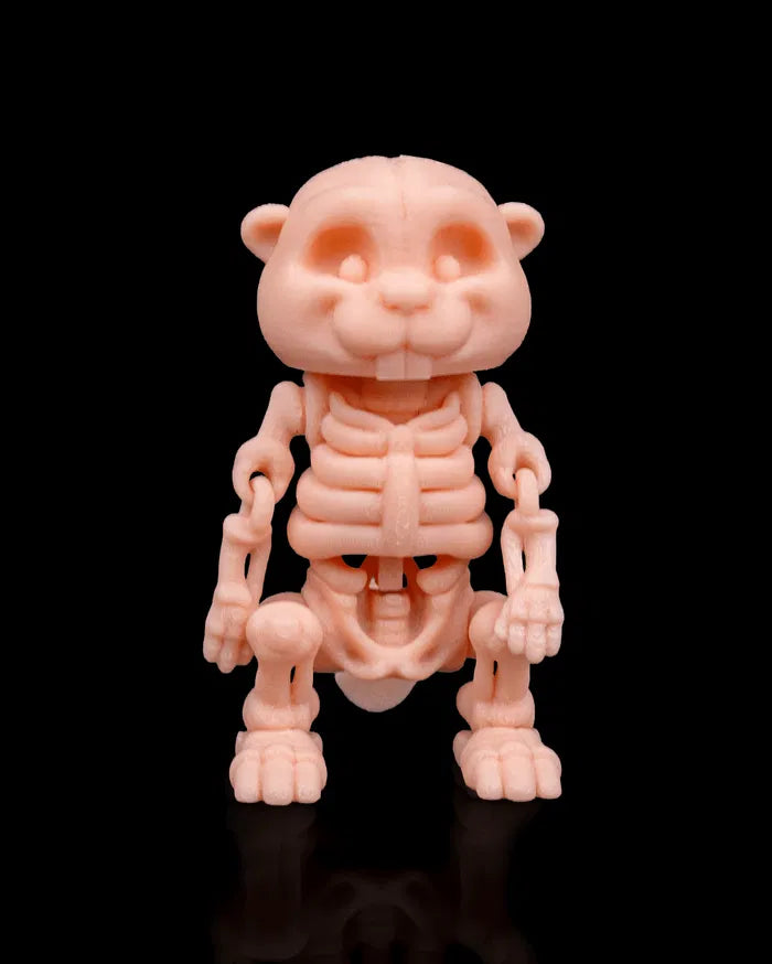 Skeleton_Beaver1_f82e4dea62