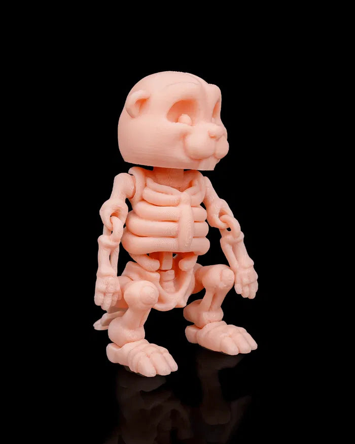 Skeleton_Beaver2_57f2f7ed7b