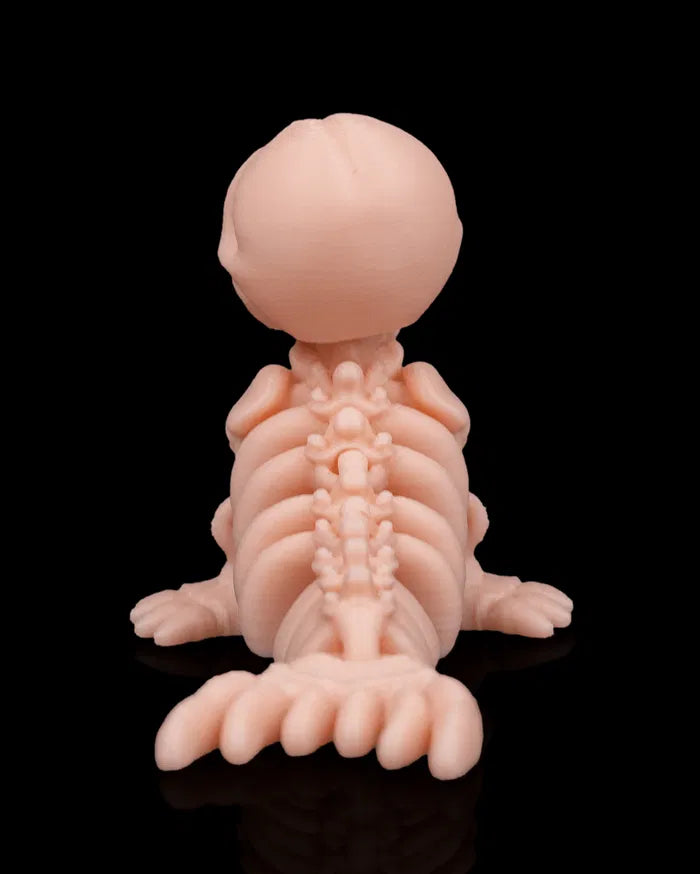 Skeleton_Seal_6_9c597064cf (1)