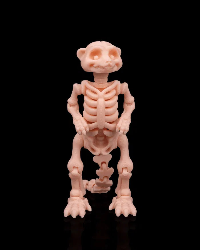 Skeleton_Meerkat_1_e8faaf274b