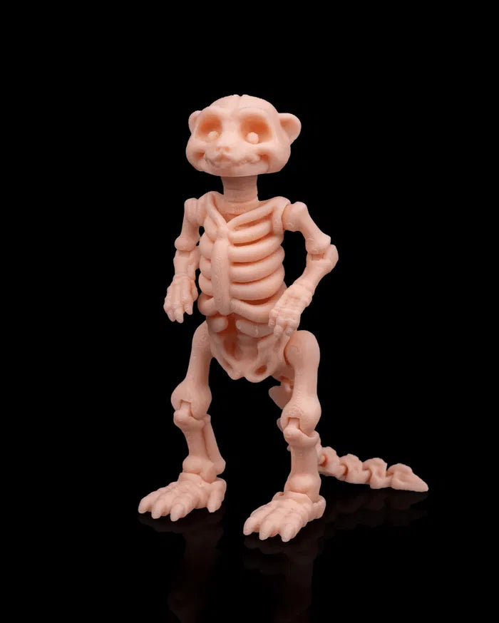 Skeleton_Meerkat_2_dd003b6eb5