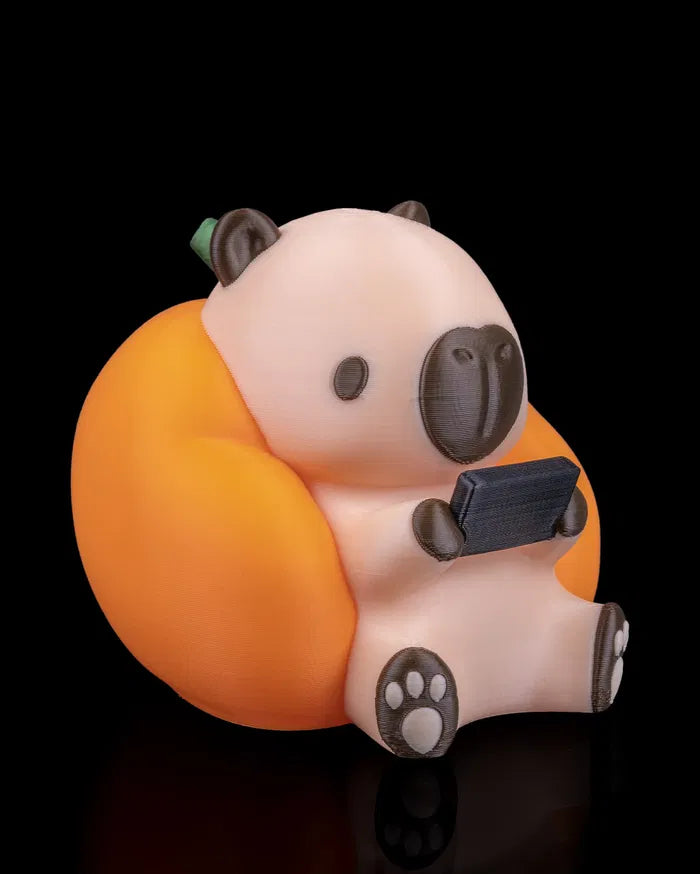 Gamer_Capy_1_005a082664