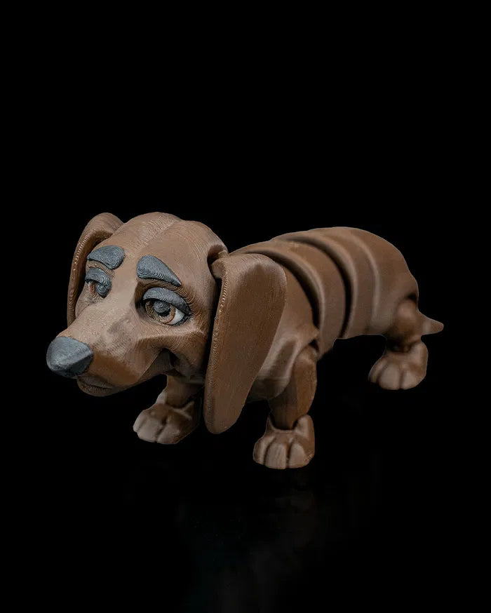 Winston_the_Dachshund2_b22a912f7b