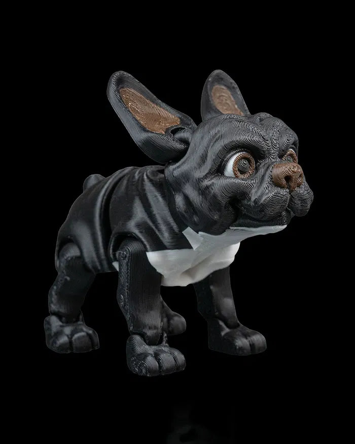 Stella_the_French_Bulldog2_1ff6315267