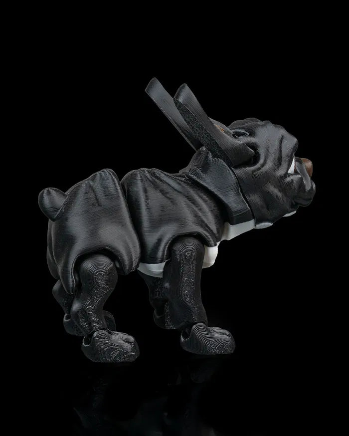Stella_the_French_Bulldog3_b049a0bc4a