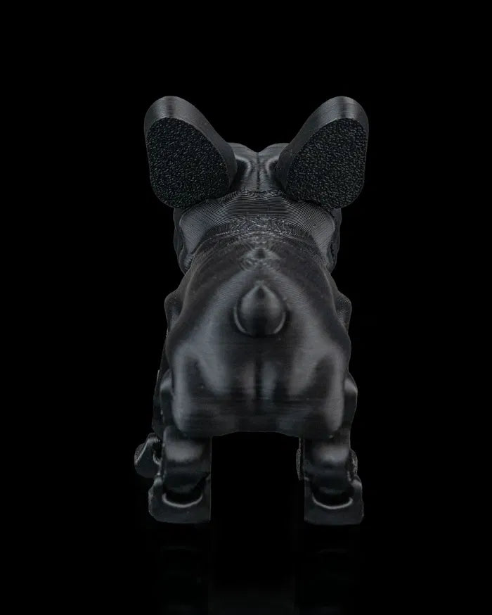 Stella_the_French_Bulldog4_379cf130b4