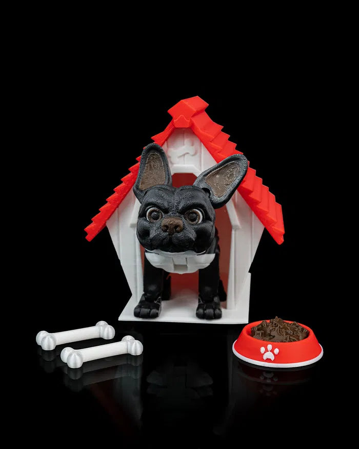 Stella_the_French_Bulldog7_f9c67562c0