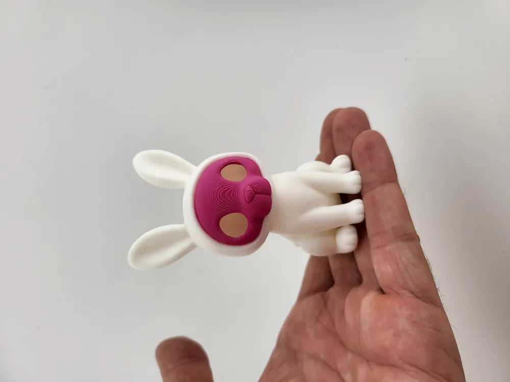 Urban Ghost Bunny Printed Skull Rabbit