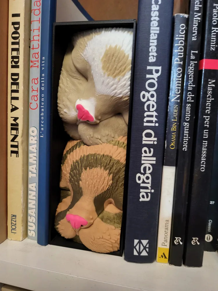 Sleeping Cat Friends NO AMS – Book Nook Shelf