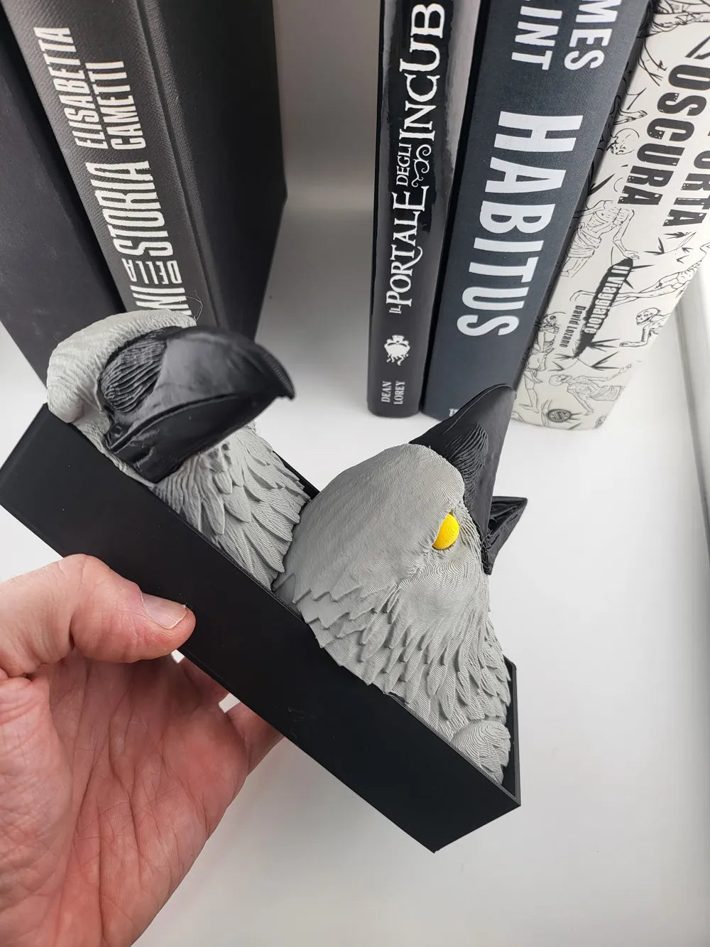 Book Nook Gothic Crow Shelf Insert Dark Libraries