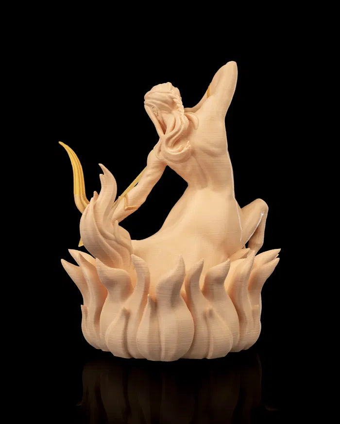 Sagitarius_4_342c10a53a