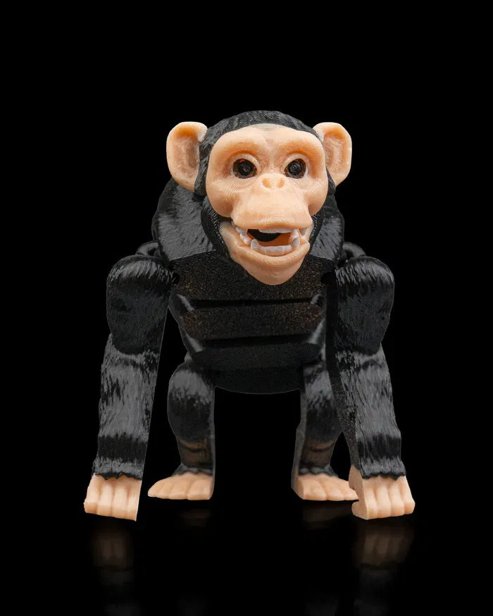 Chimpanzee1_cac43e9d01