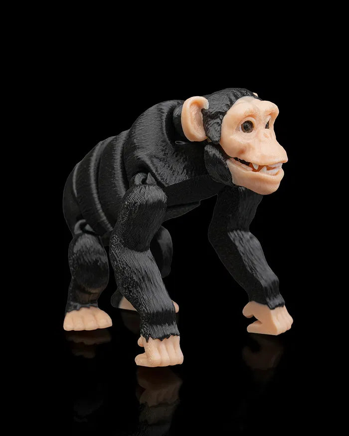 Chimpanzee6_996187ed8c