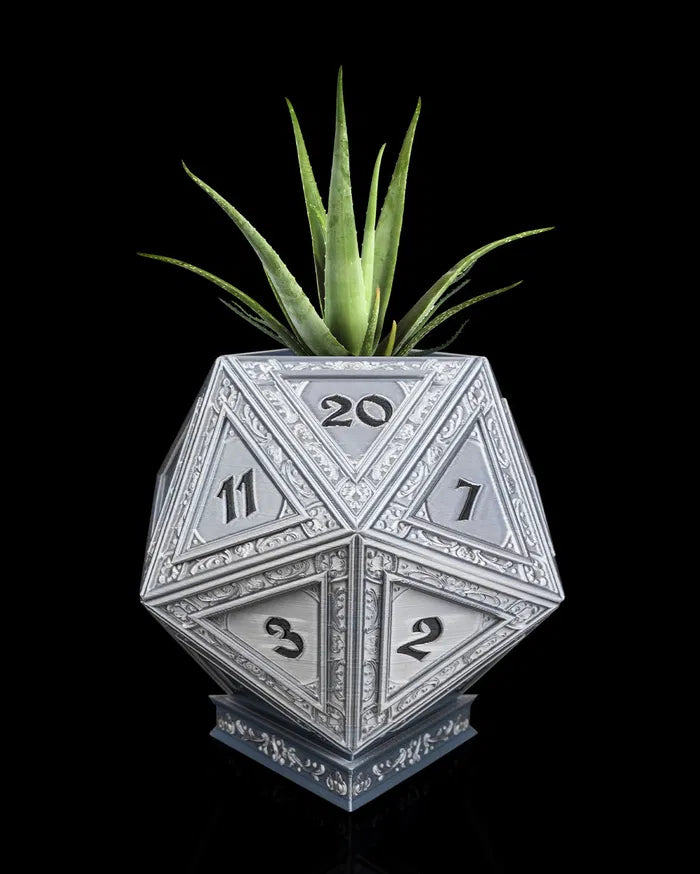 Champion_s_D20_1_34b856f82d