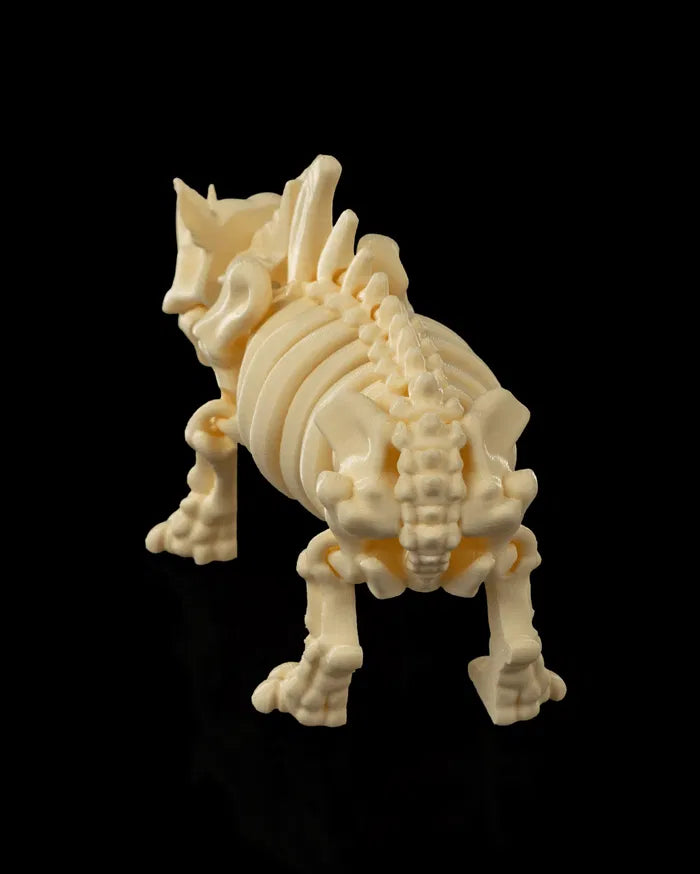 Skeleton_Rhino_5_077b2233a2