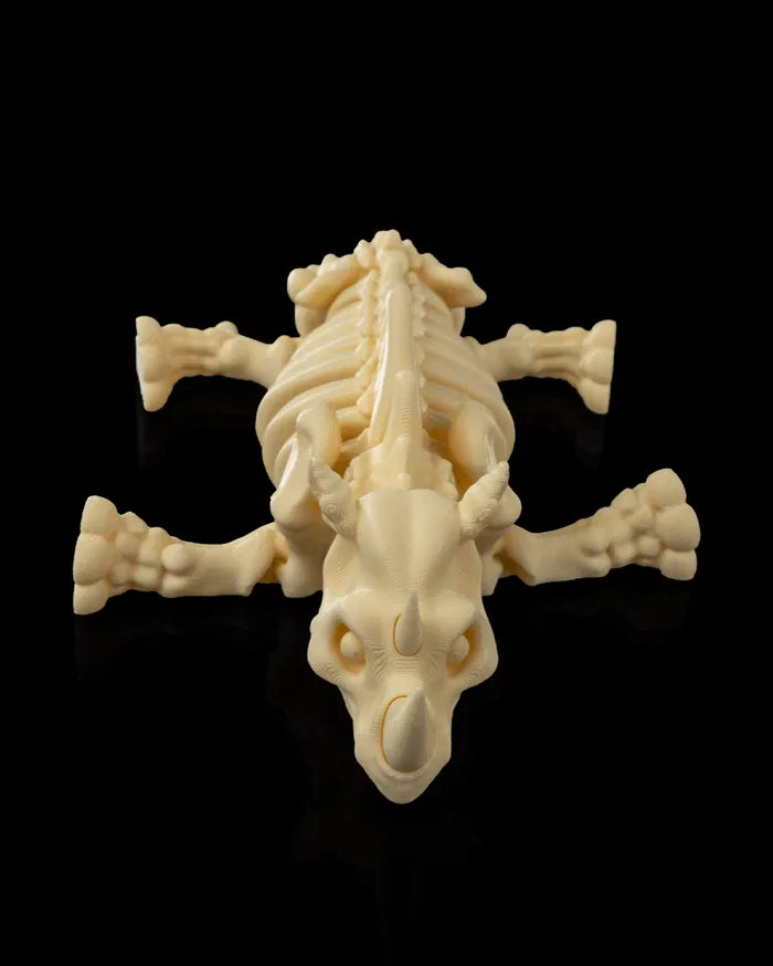 Skeleton_Rhino_6_c172486434