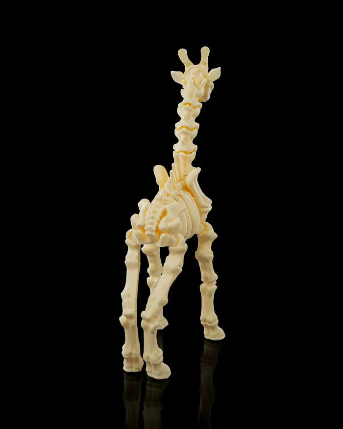 Skeleton_Giraffe3_9640ab3212