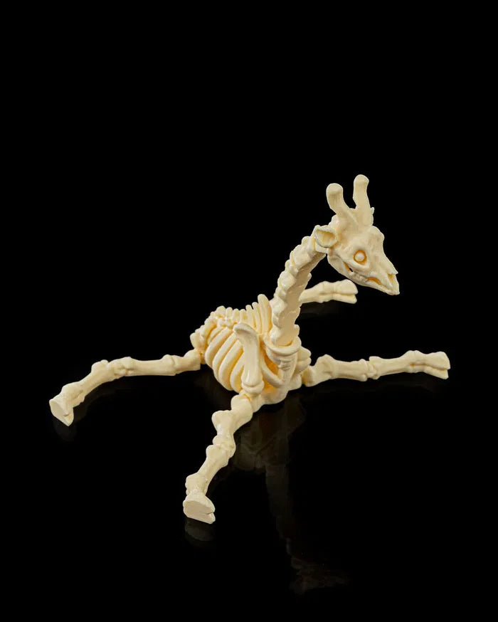 Skeleton_Giraffe6_8efdadb83d
