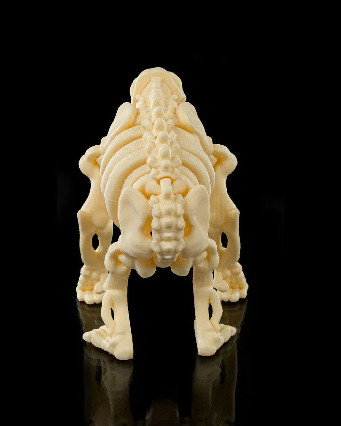 Skeleton_Chimp3_6c5958dcd2