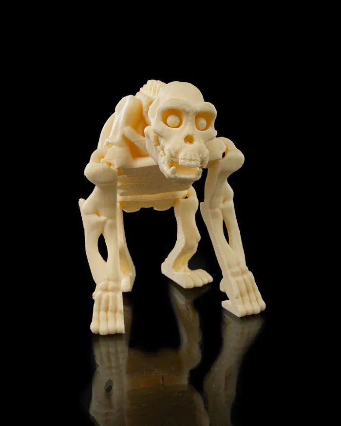 Skeleton_Chimp5_58b1fdeb43