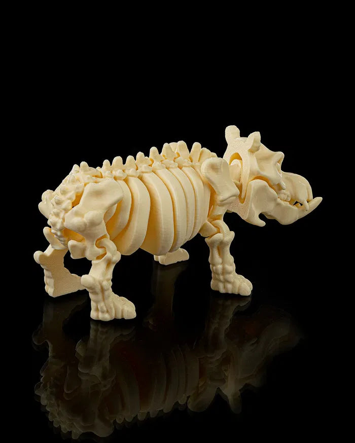 Skeleton_Hippo2_6a6ca67d76