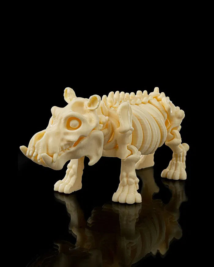 Skeleton_Hippo5_315921ae6e