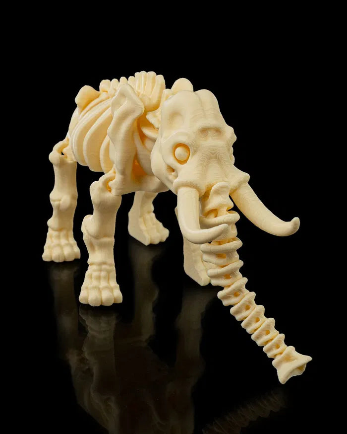 Skeleton_Elephant1_eebc12a8ff