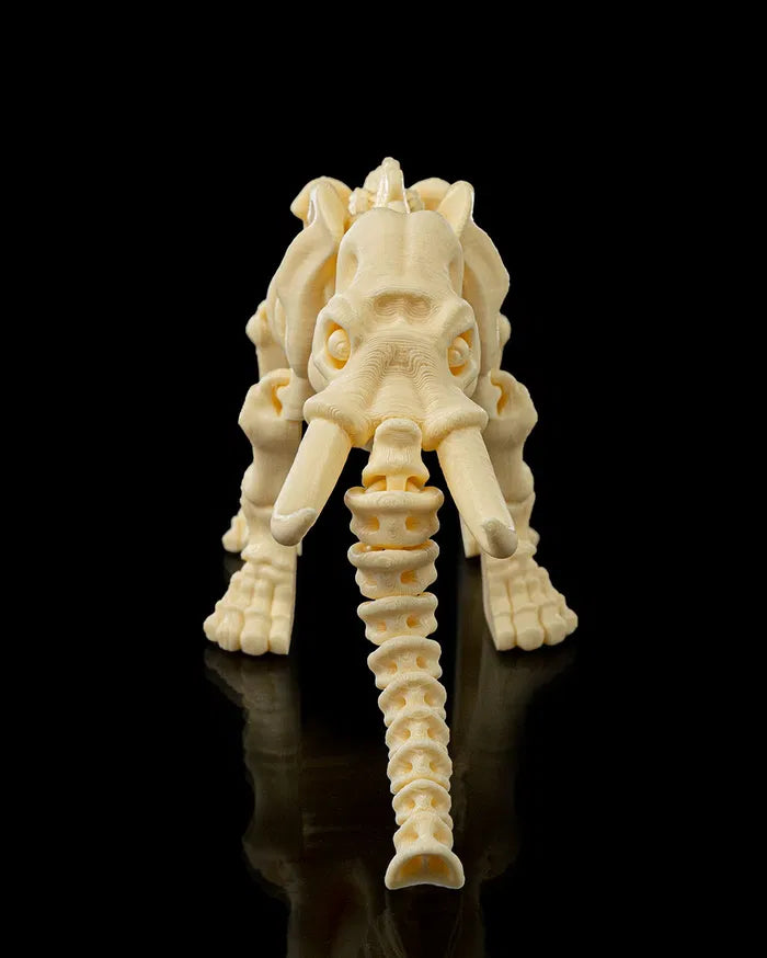Skeleton_Elephant6_4d13cef7a8