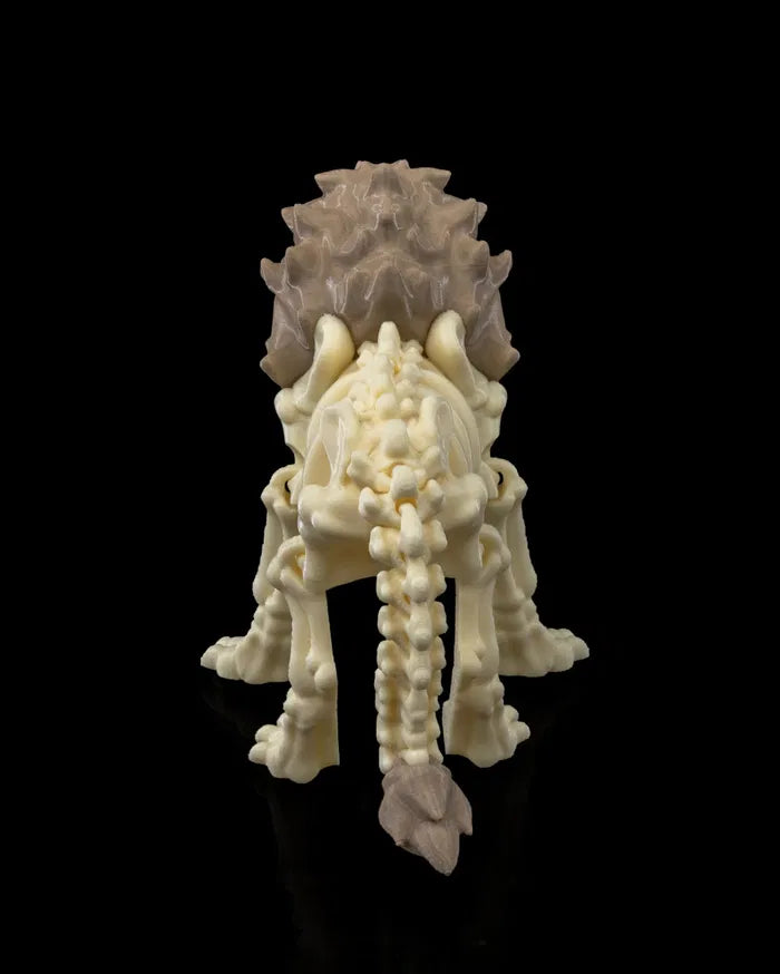 Skeleton_Lion_4_17d726a60d