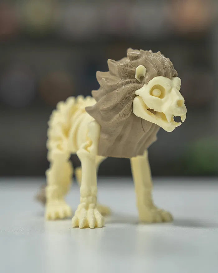 Skeleton_Lion_6_82a9475bc6