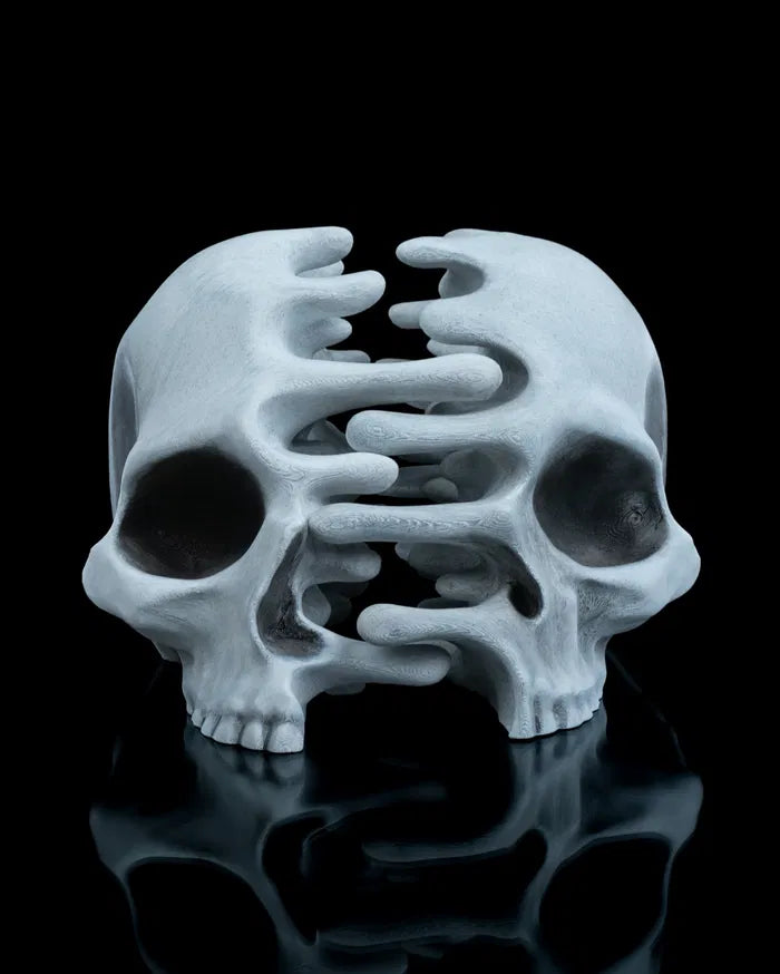 RI_Pped_skull_1_b0a2d89610