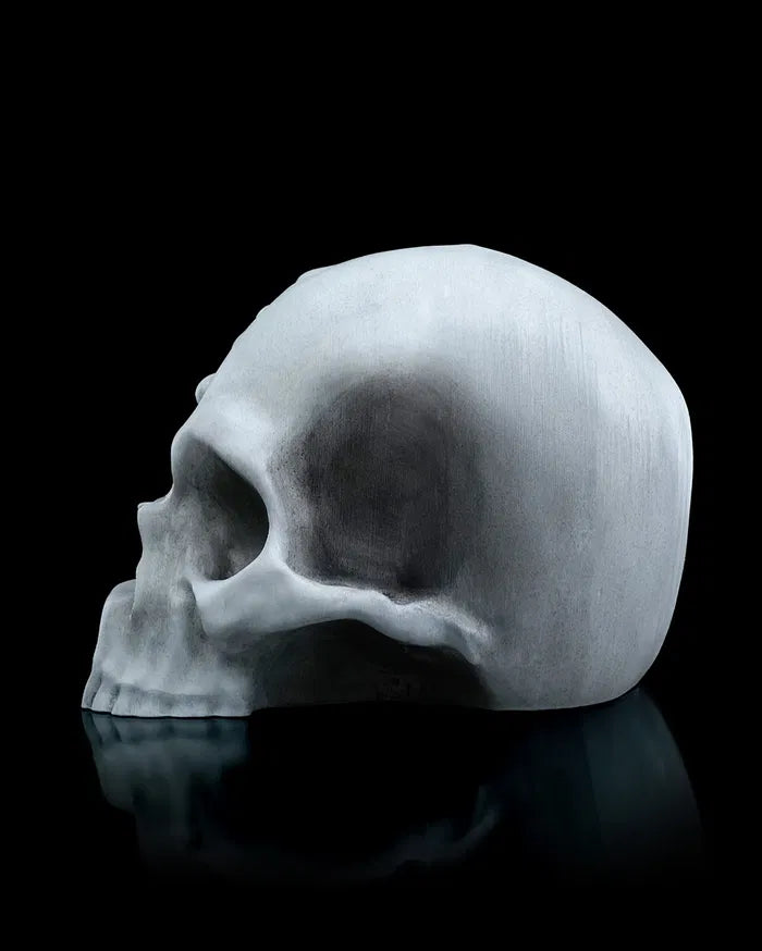 RI_Pped_skull_3_4854a17a4f