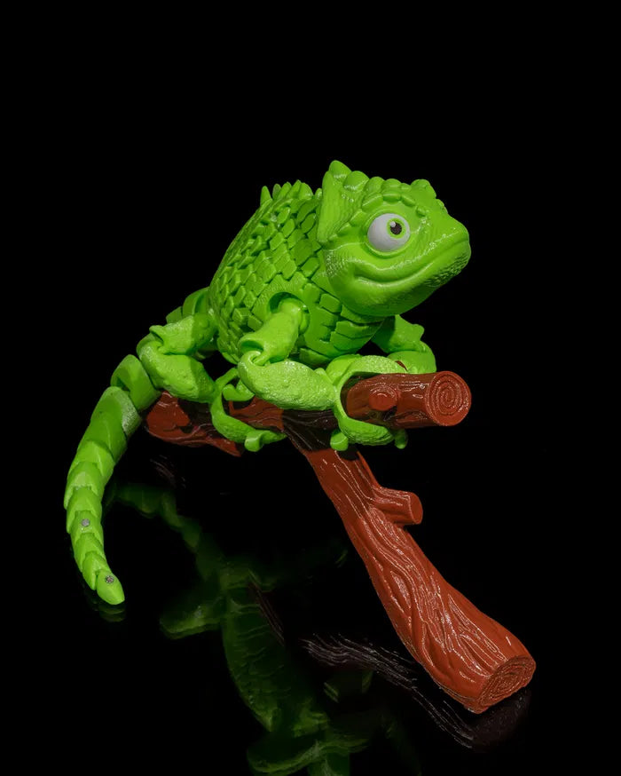 Chameleon_6_e37416876a