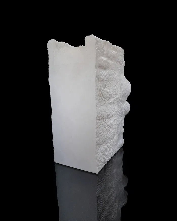 Binded_Mimic_Book_Nook5_a083fa78d1