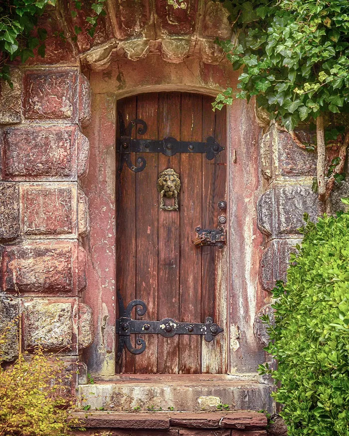 Might_of_the_Lion_Door_Knocker_2_25e2af1e29