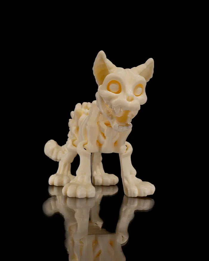 Skeleton_Cat1_5673278985