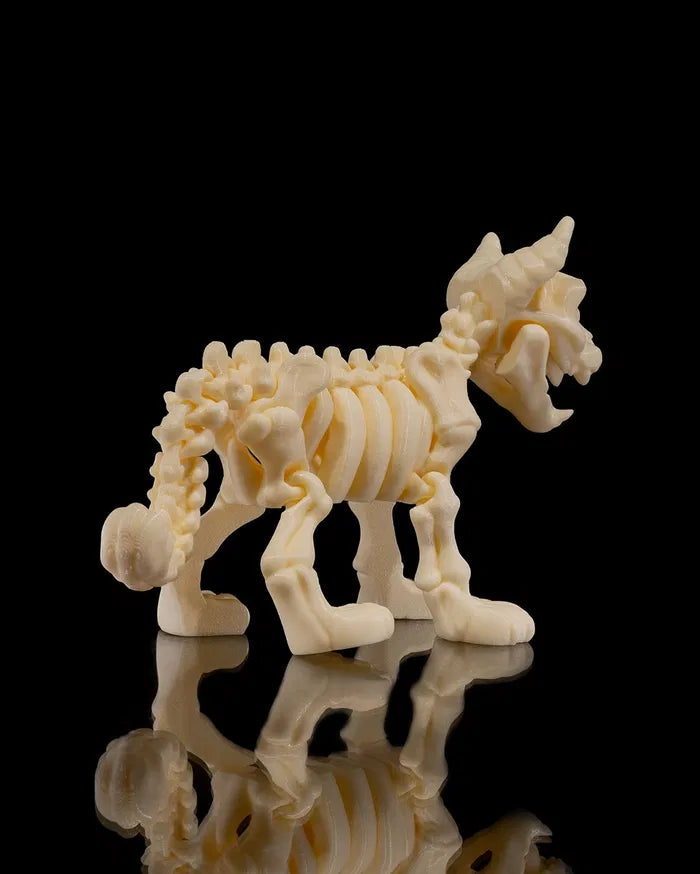 Skeleton_Cat5_fbee45bab9