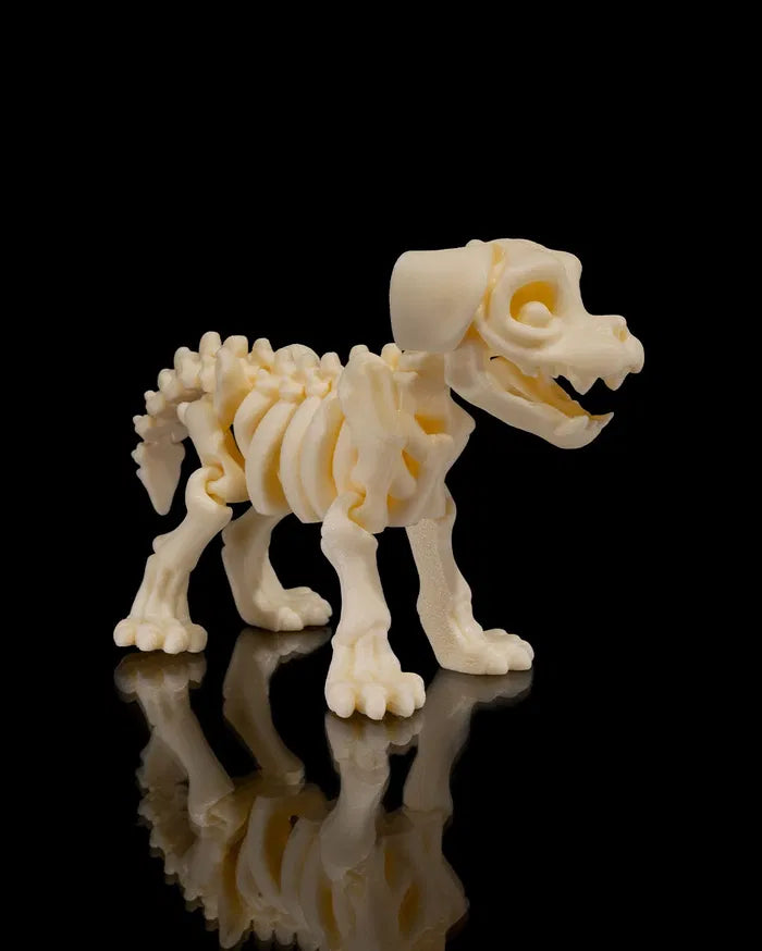 Skeleton_Dog5_44402bf536