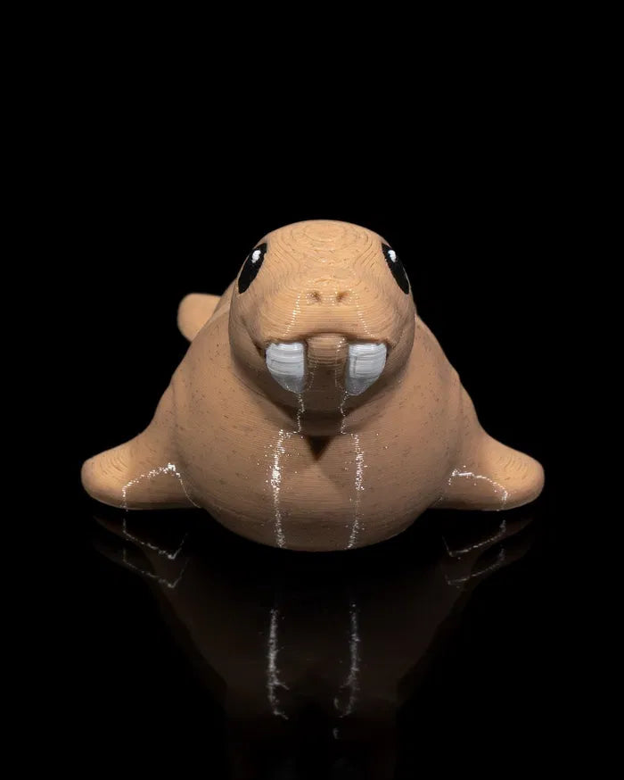 Atlantic_Walrus_2_431052a933