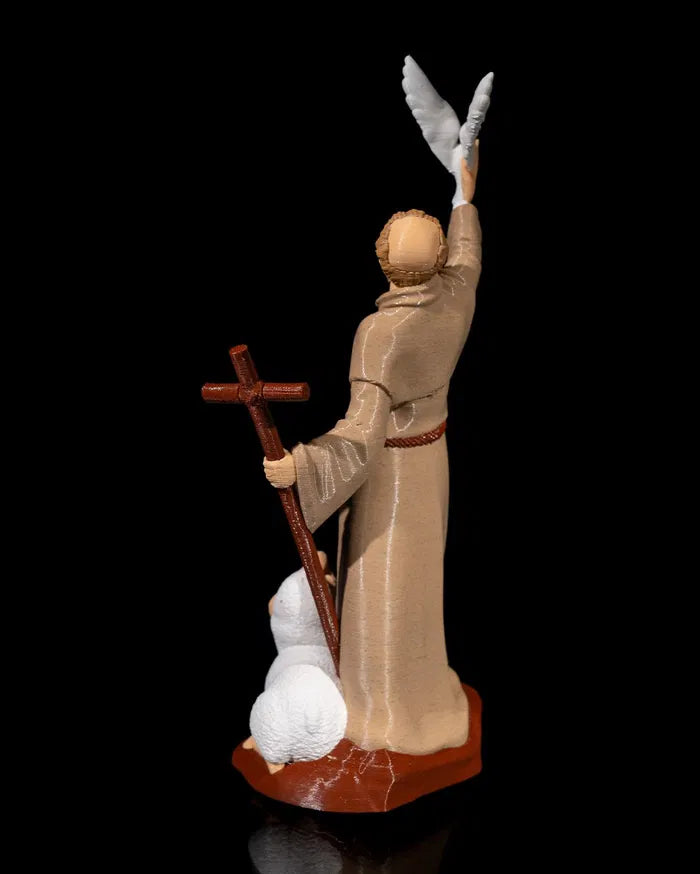 Saint_Francis_5_13353335e4