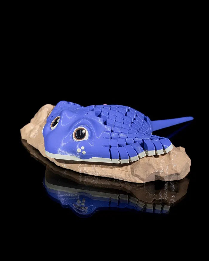 Ray_the_Manta_Ray_2_9abbdca5f4