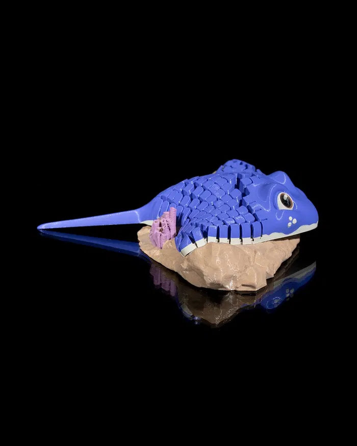 Ray_the_Manta_Ray_3_ddbf5e565d