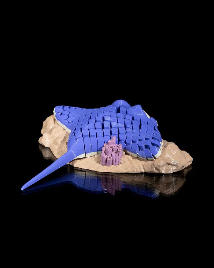 Ray_the_Manta_Ray_4_33318b7884