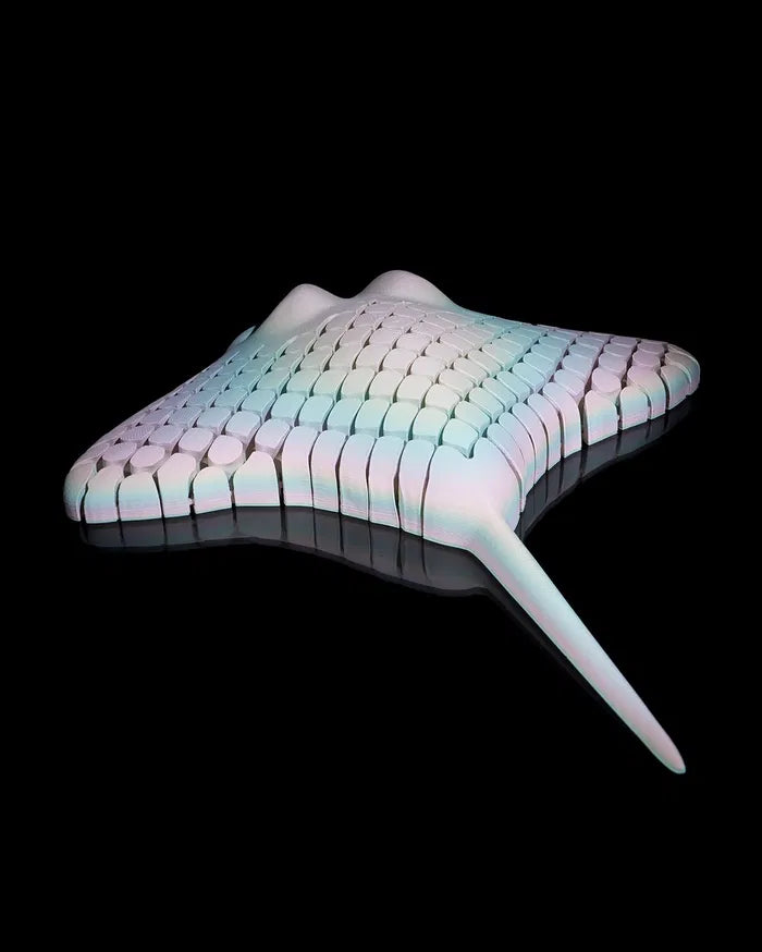 Ray_the_Manta_Ray_9_13f915745d