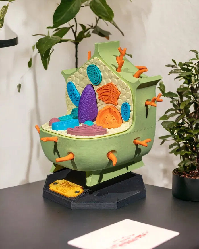 Plant_Cell_2_Photoroom_2_bb11a450a4