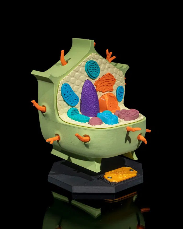 Plant_Cell_3_50d12a2865
