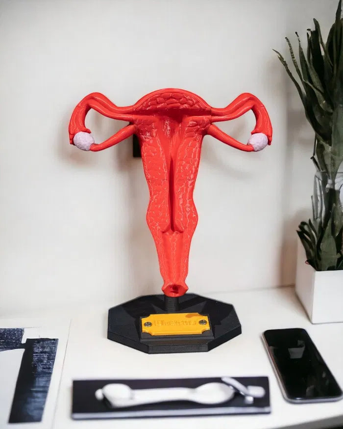 Uterus_1_Photoroom_2_3a2cd634d7