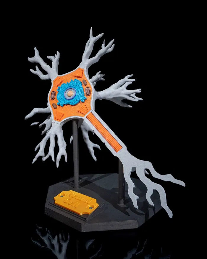 Neural_Cell_2_32250c3fc4