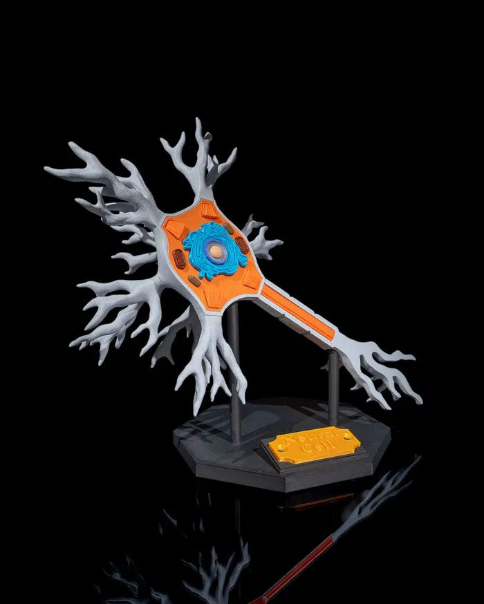 Neural_Cell_3_73e8d2e35c