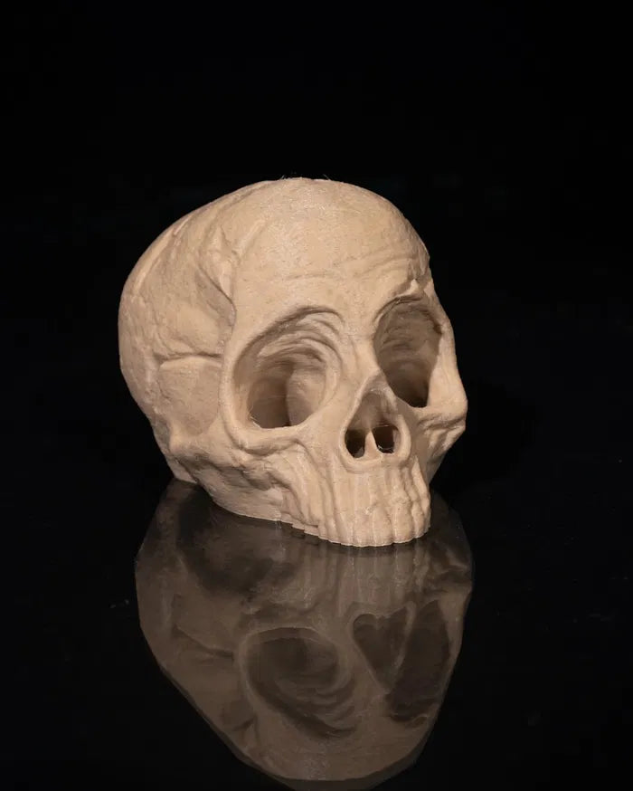 Back_to_Earth_Planter_9_a9f466aff3